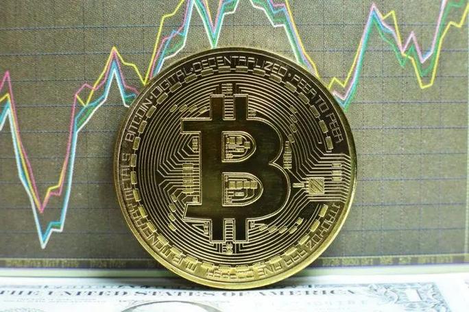 狗狗币涨了多少倍