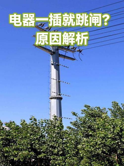 一插电器就跳闸一般是什么问题