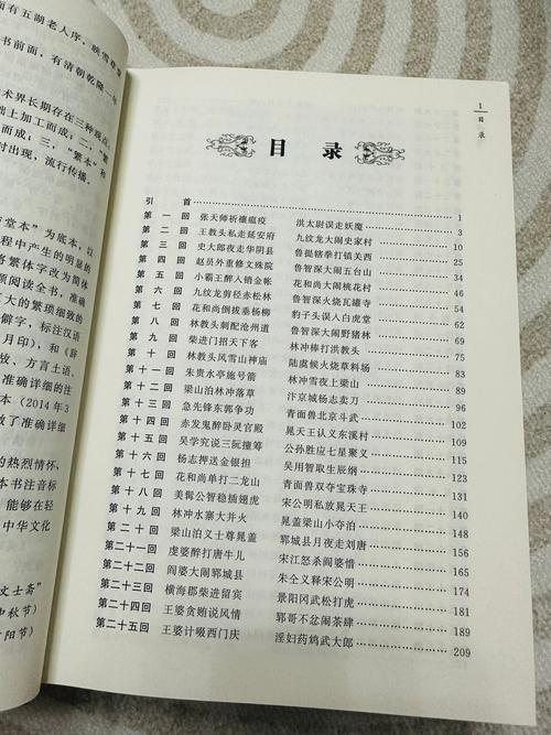 水浒传第二十五回概述