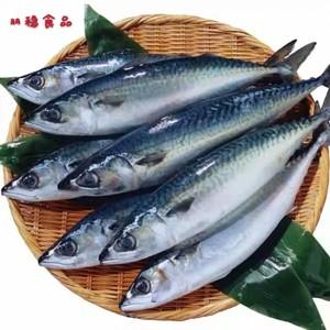 青花鱼在中国叫什么图标