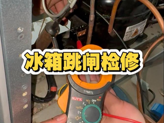冰箱跳闸推上去一会又跳下来