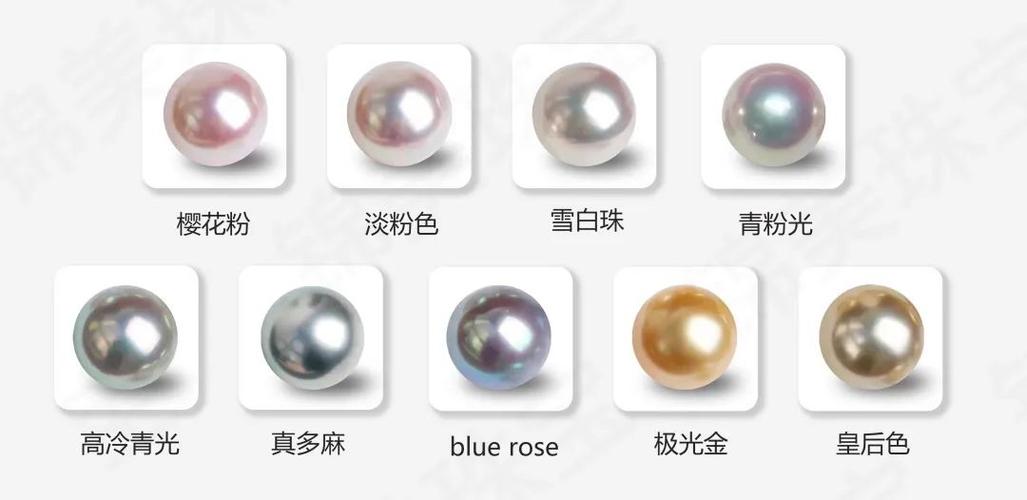盒子里的黑珠和白珠各有多少个