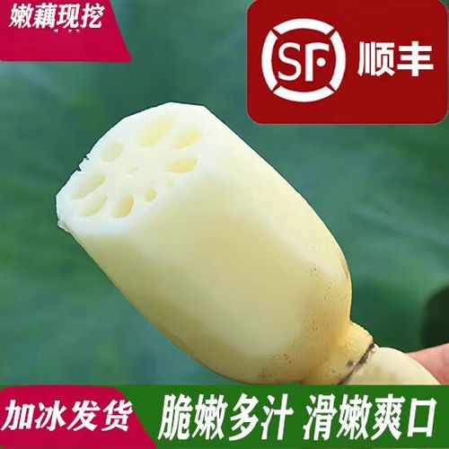 湖北的莲藕为什么好吃