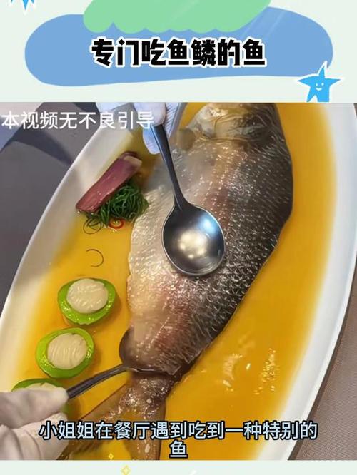 吃鱼鳞有害处吗