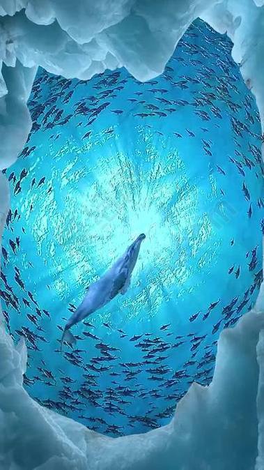 android深海水族馆