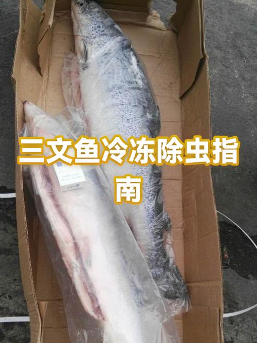 三文鱼怎么保存冷冻还是冷藏图标