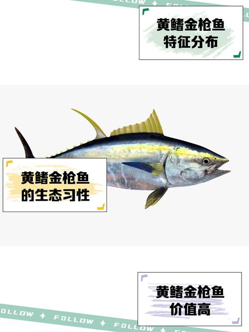 麦德龙冰鲜黄鳍金枪鱼鱼柳149元/斤贵