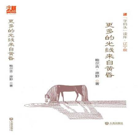 更多的光线来自黄昏截图