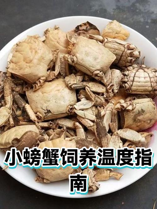 螃蟹凉了可以微波炉加热吃吗
