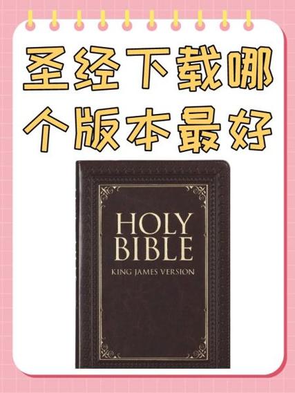 圣经下载安装