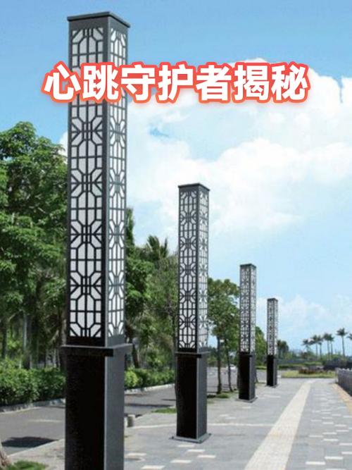 《心跳检查!身体健康检查》