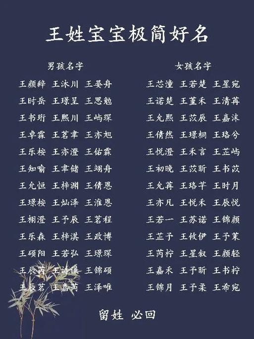 王姓男孩独一无二取名