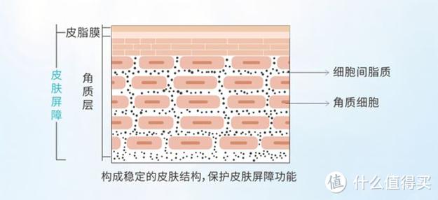 取消屏蔽是什么意思图标
