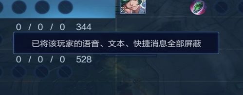 王者荣耀怎么屏蔽局内文字消息图标