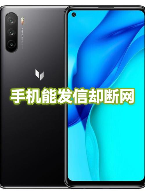 手机一直断网怎么办