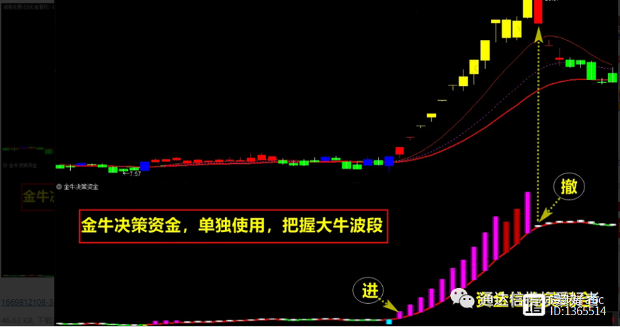 集合竞价换手率捕捉黑马股绝技