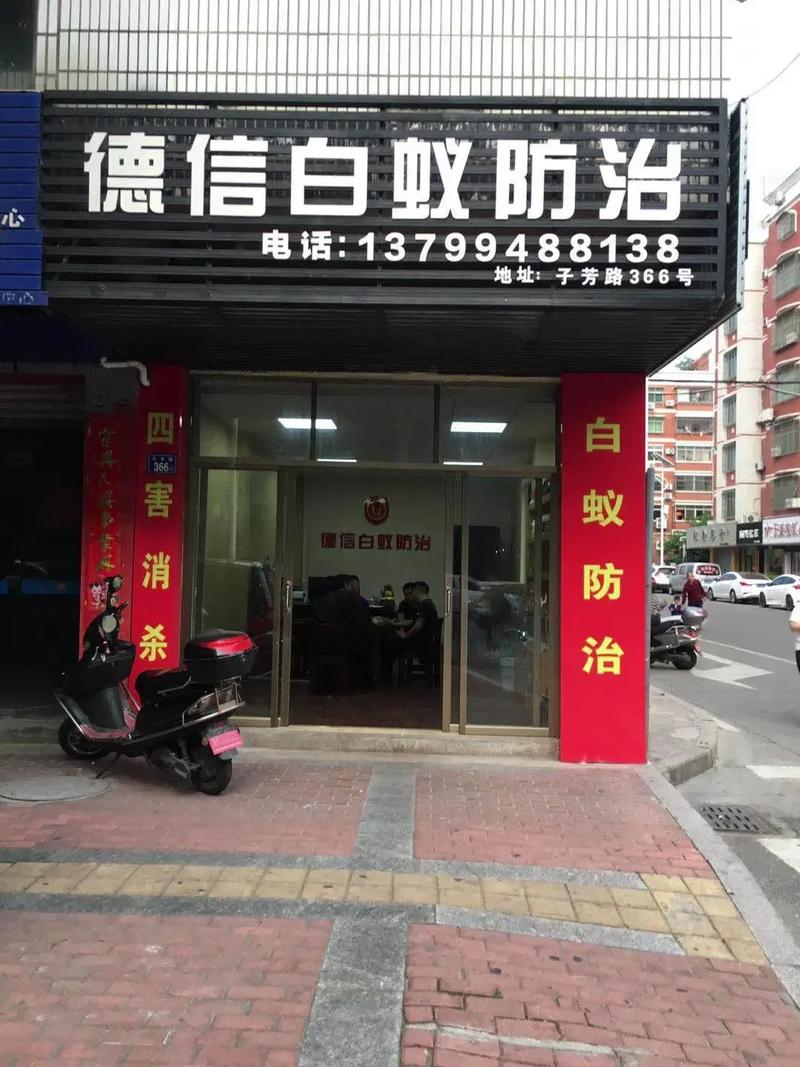 白蚁公司