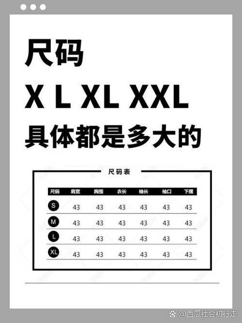 男士衣服175是几个xl