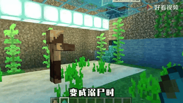我的世界尸壳在哪里生成截图