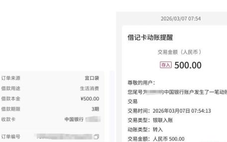 像宜口袋一样开会员能下款的贷款