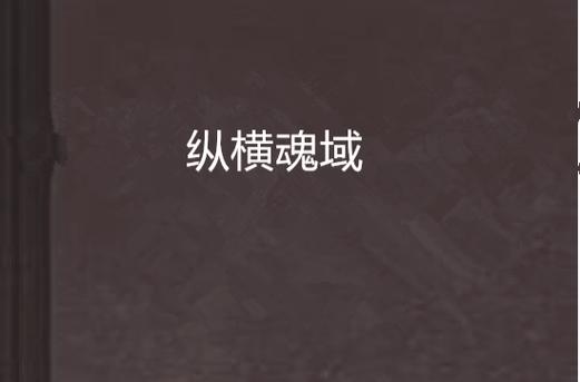 纵横小说的VIP怎么获得