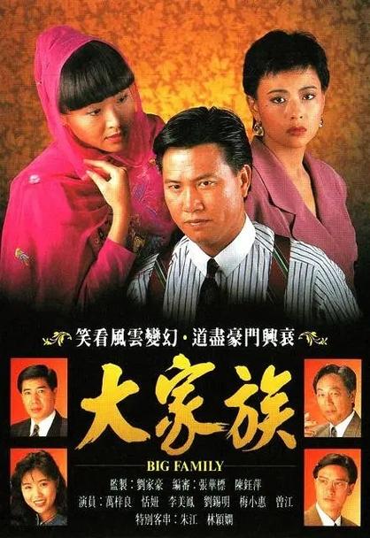好看的大家族电视剧截图
