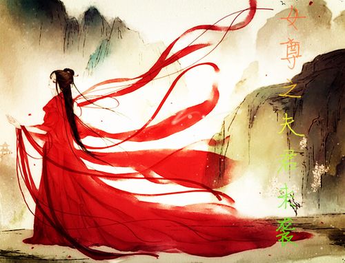 女尊之夫君五六七八个御宅