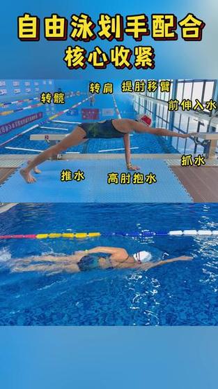 自由泳划手次数怎么算