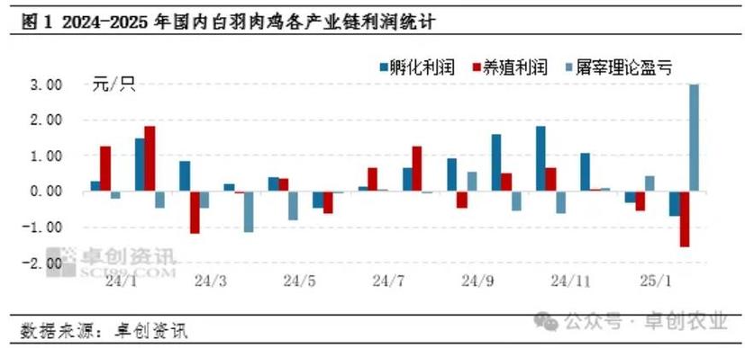 养鸡1000只利润和成本图标