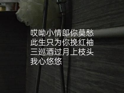 红袖是什么意思
