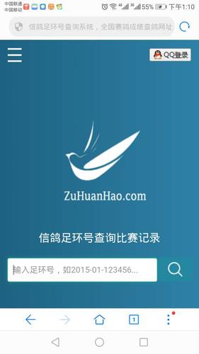 足环网查询截图