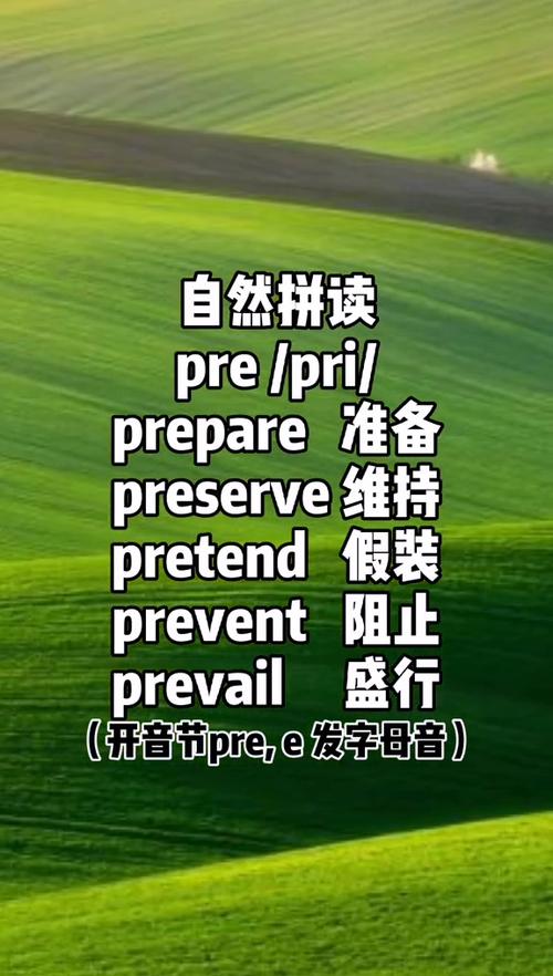 pre读音截图
