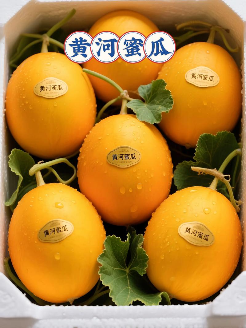 黄河蜜瓜跟哈密瓜区别缩略图