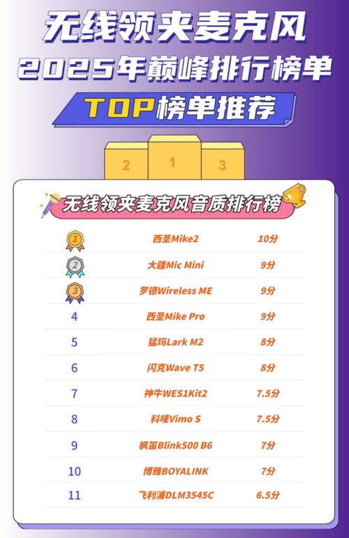 麦克风哪个品牌性价比高