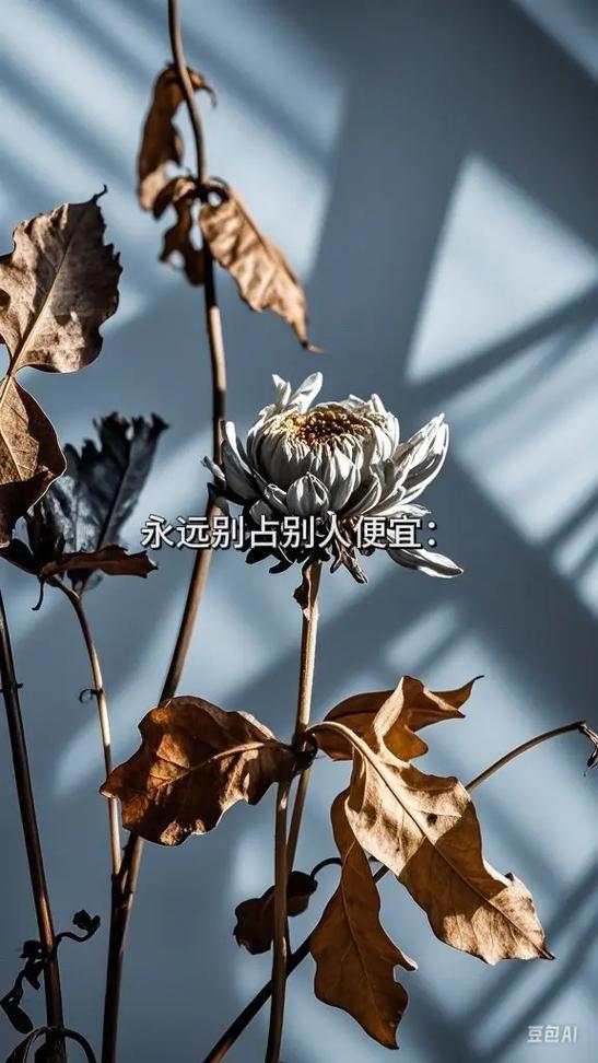 抖音很红的文案图标