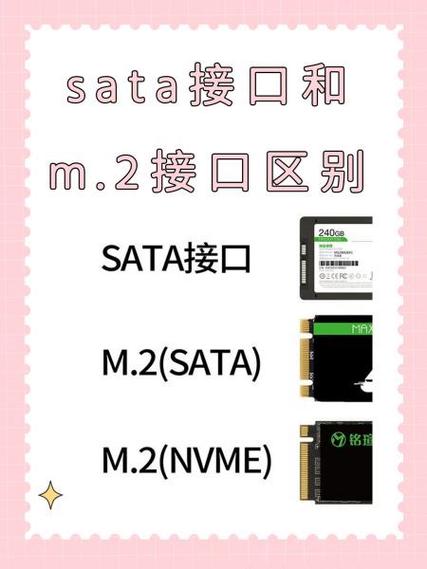 m2接口sata和nvme区别截图
