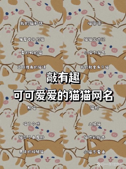 跟喵喵的情侣网名有啥