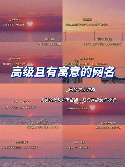 用橘子做网名的含义图标