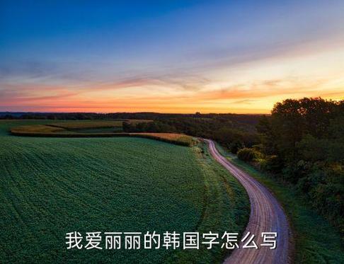 丽丽我爱你高清版