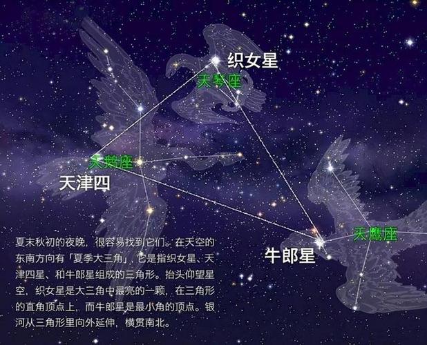 有东极星吗截图