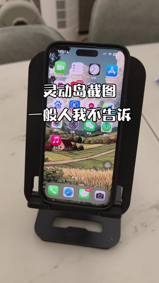 截图怎么看不到灵动岛