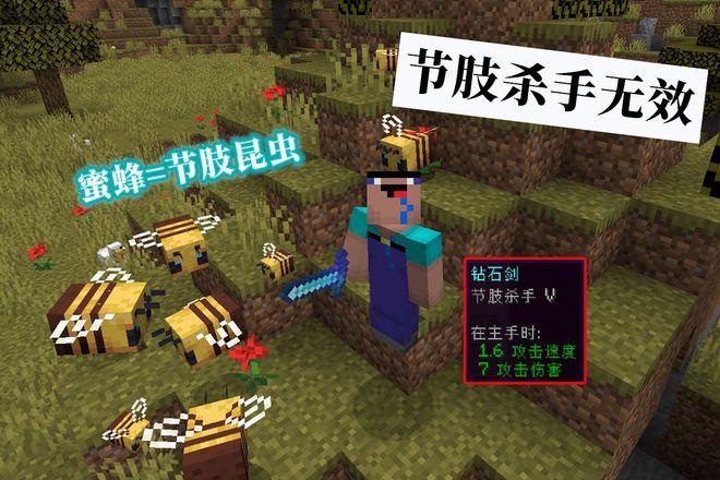 节肢杀手附魔指令