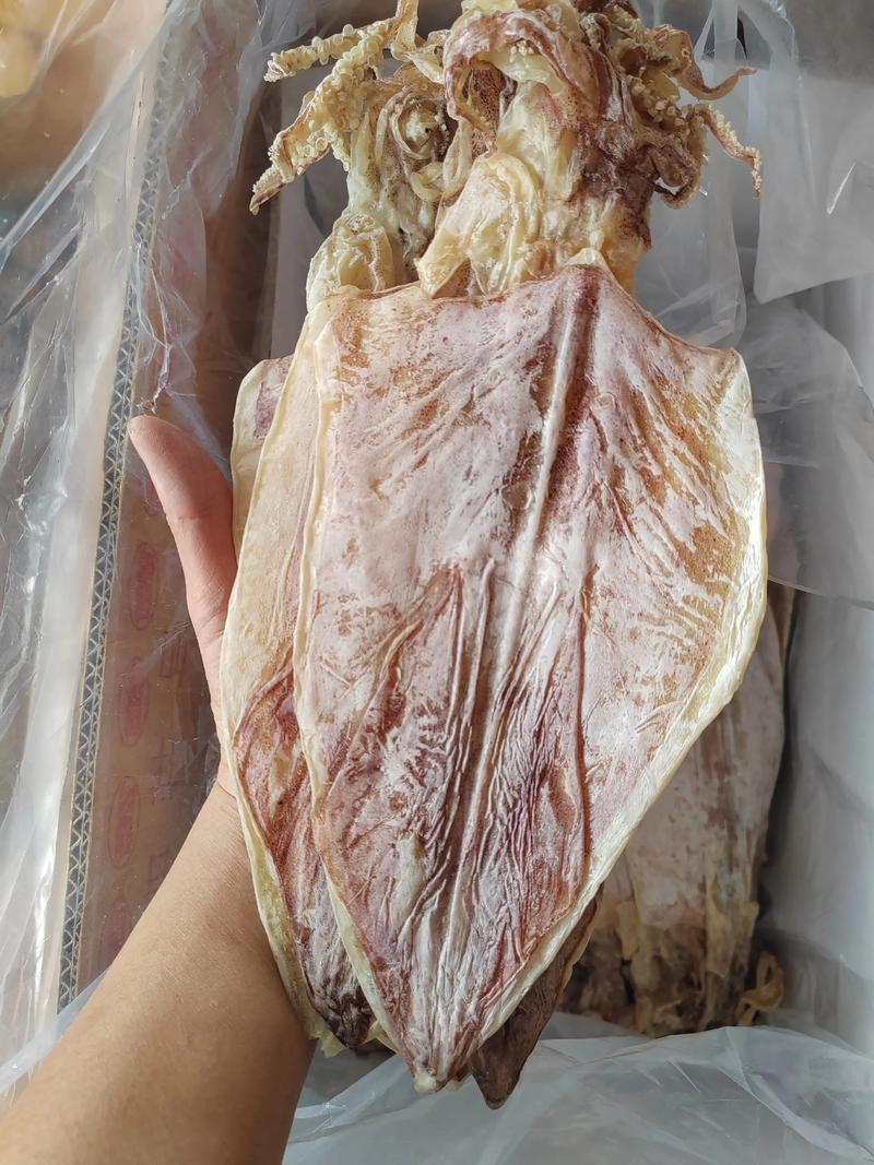 大鱿鱼干为什么比小鱿鱼便宜