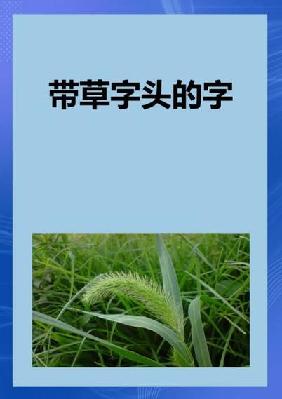 草字头下面一个清缩略图