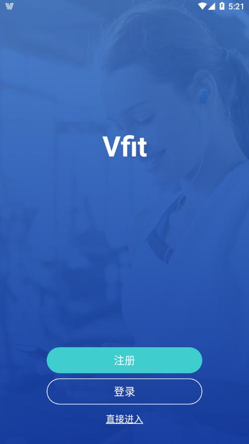 Vfit旧版