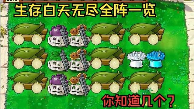 植物大战僵尸一无尽模式