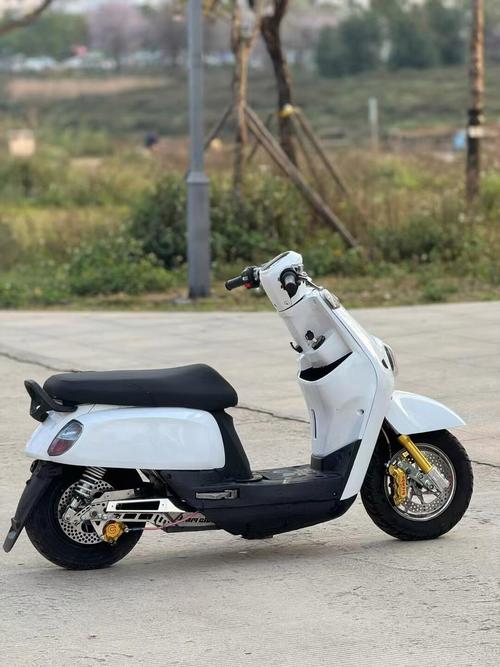 电驴和哇嘎有什么区别
