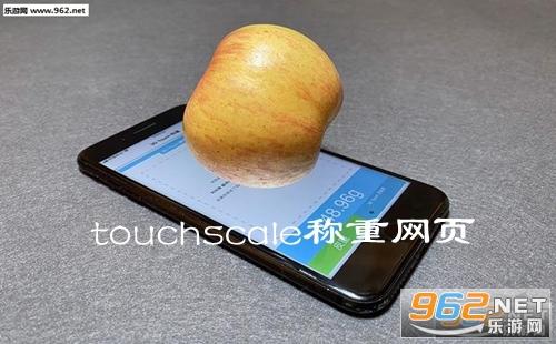touchscale电子屏幕称重