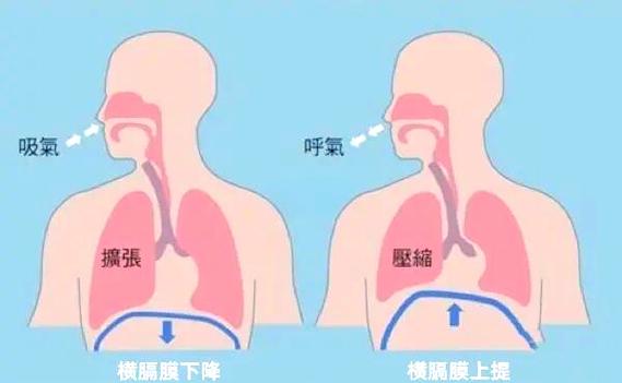 说话是呼气还是吸气