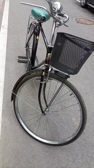 老飞鸽自行车图片大全